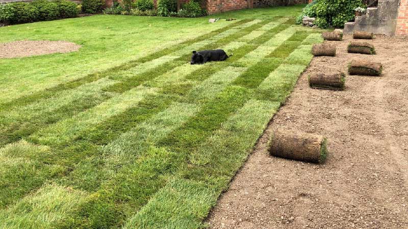 Grass seeding and turfing - Midwinter Landscaping | Landscaping ...